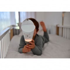 Coffret Lampe Nomade Motif "Baby Love Koalas"