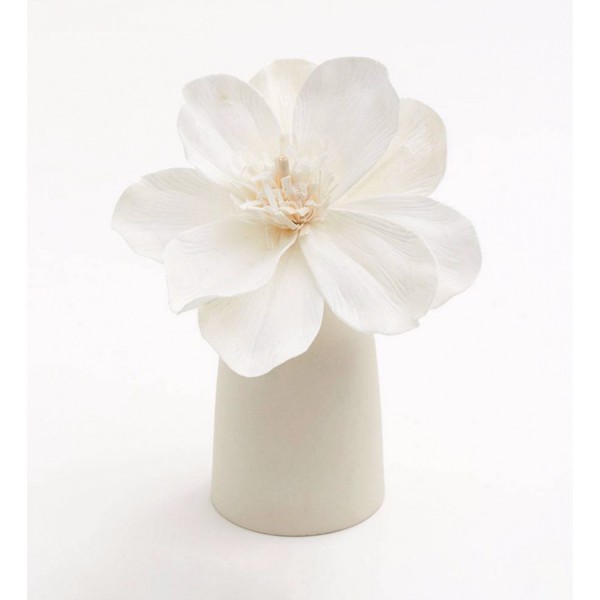 Diffuseur de Parfum Mana Avec Fleur De Sola Blanche & Vase Beige Naturel
