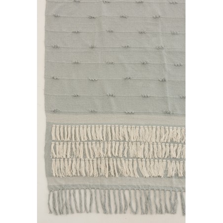 Plaid En Coton Avec Broderies Et Franges Vert Clair & Ecru