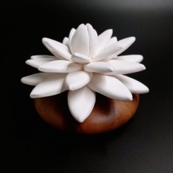 Lotus Des Indes - Diffuseur De Parfum En Bois Et Céramique Blanche
