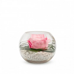 Rose Stabilisée Décorative Rose Dans Sa Verrine - 13 Cm