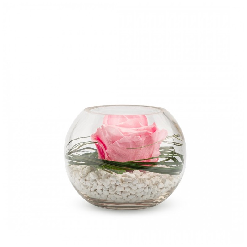 Rose Stabilisée Décorative Rose Dans Sa Verrine - 13 Cm