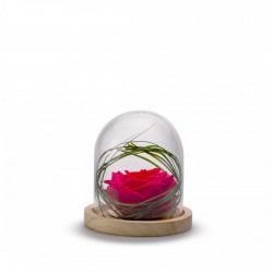 Cloche Rose Stabilisée Rouge Décorative Sur Socle Bois - 13 Cm