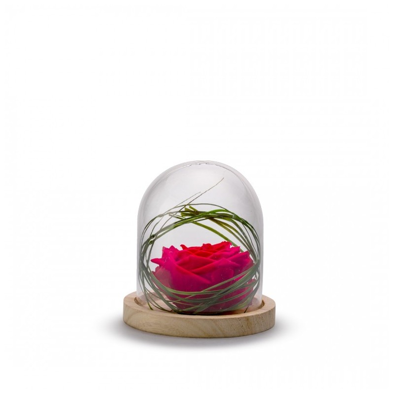 Cloche Rose Stabilisée Rouge Décorative Sur Socle Bois - 13 Cm