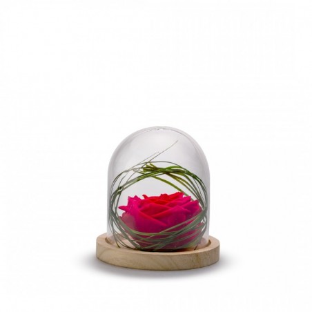 Cloche Rose Stabilisée Rouge Décorative Sur Socle Bois - 13 Cm