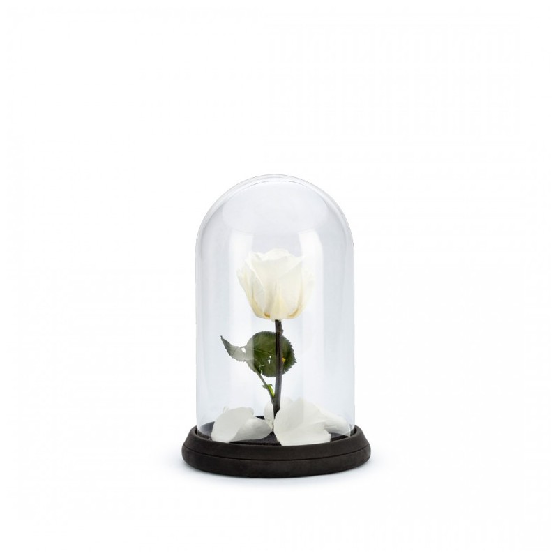 Cloche Rose Stabilisée Blanche Décorative Sur Socle - 22,5 Cm