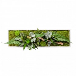 Tableau Végétal Nature Panoramic 70 X 20 Cm