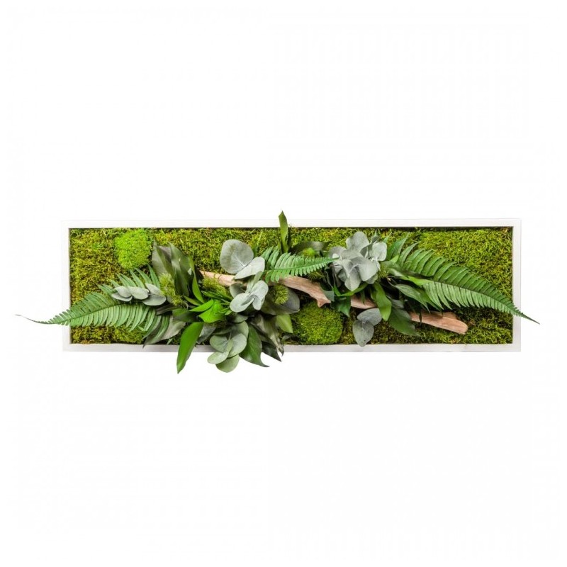 Tableau Végétal Nature Panoramic 70 X 20 Cm