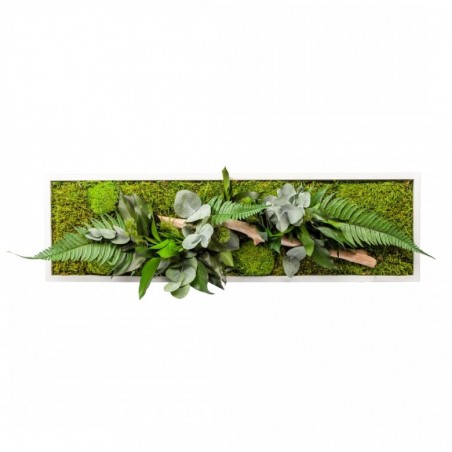 Tableau Végétal Nature Panoramic 70 X 20 Cm