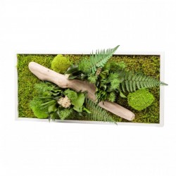 Tableau Végétal Nature Rectangulaire 57 X 27 Cm